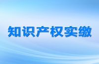 知識產權質押融資，知識產權質押融資風險補償機制