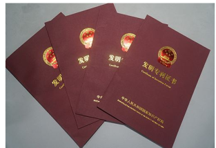 持有專利投標(biāo)