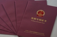 現在購買一個專利多少錢？